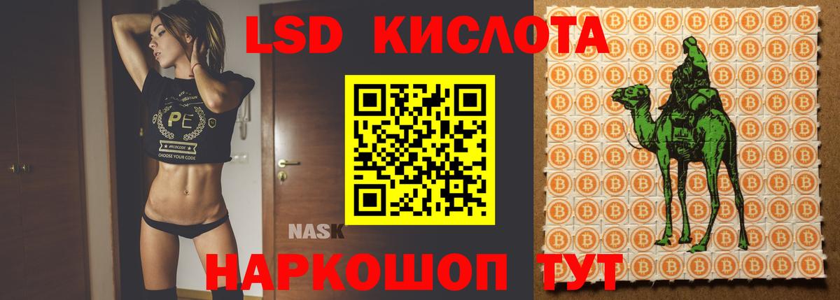 A PVP Касимов