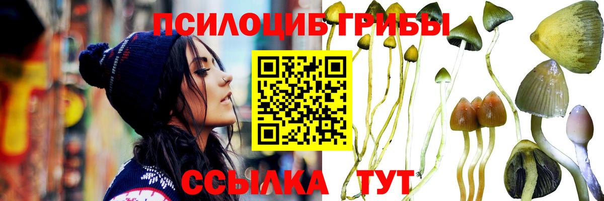 Галлюциногенные грибы Cubensis  Вход с VPN  Касимов 