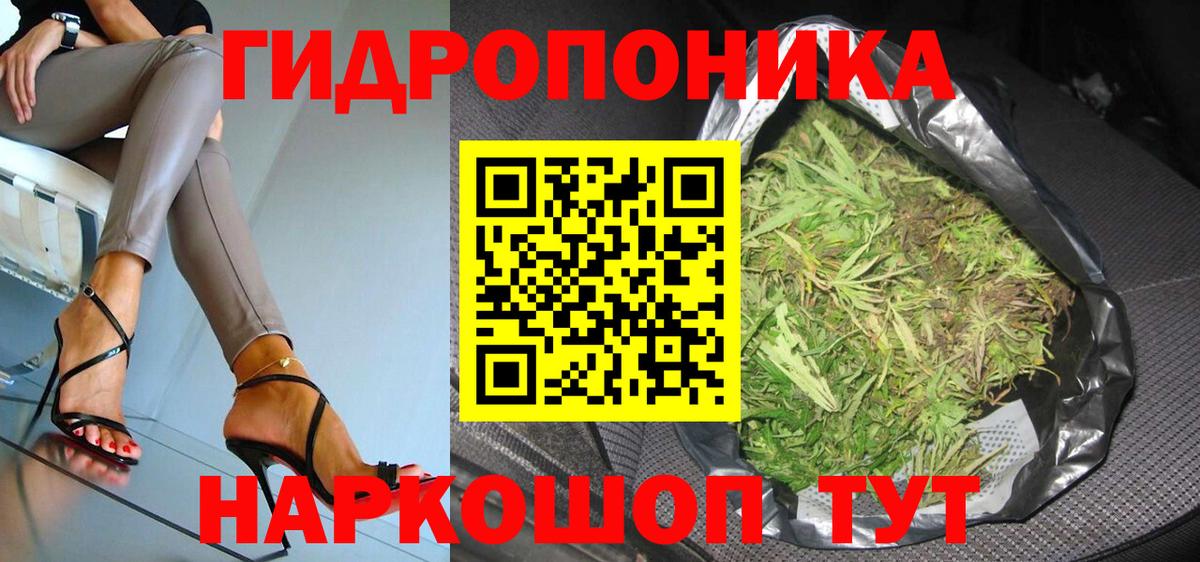 Бошки марихуана конопля  Бошки марихуана семена  Каннабис White Widow  Касимов  Вход с VPN 